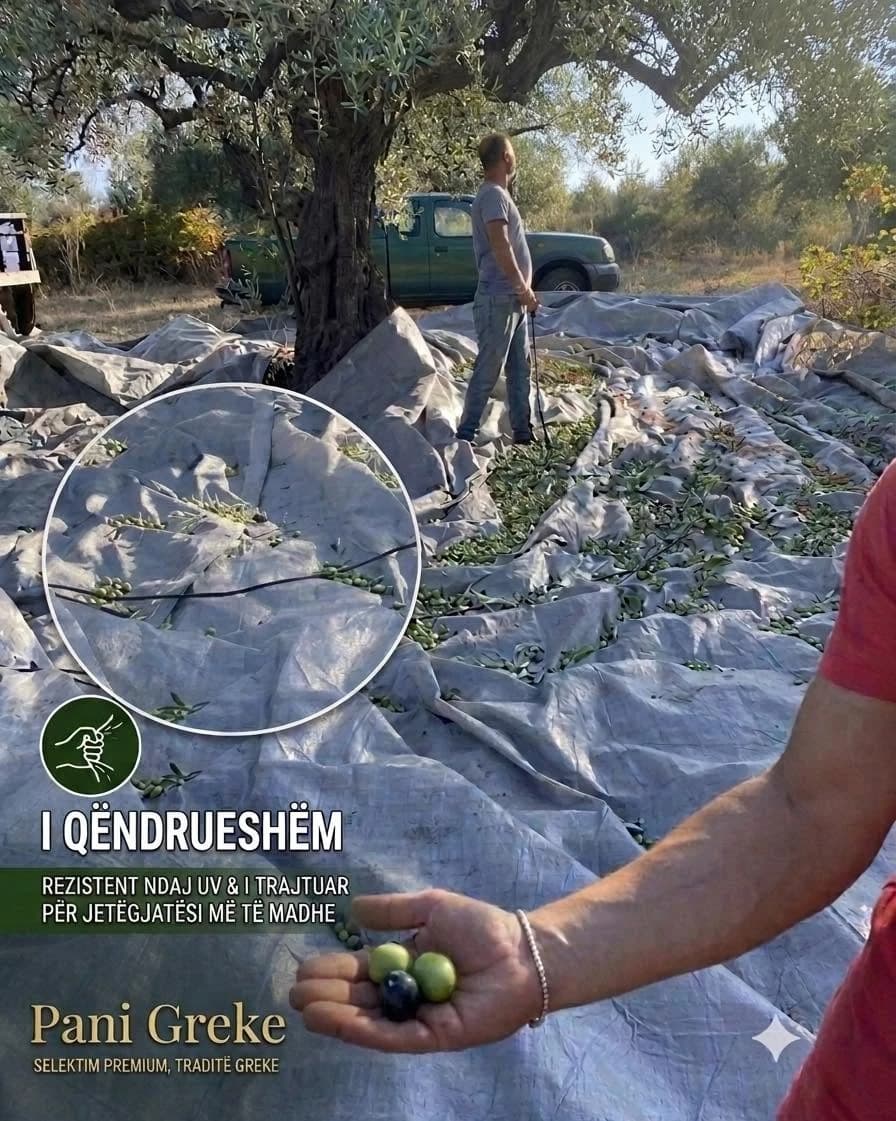 Pani Greke — premium grey olive harvesting net
